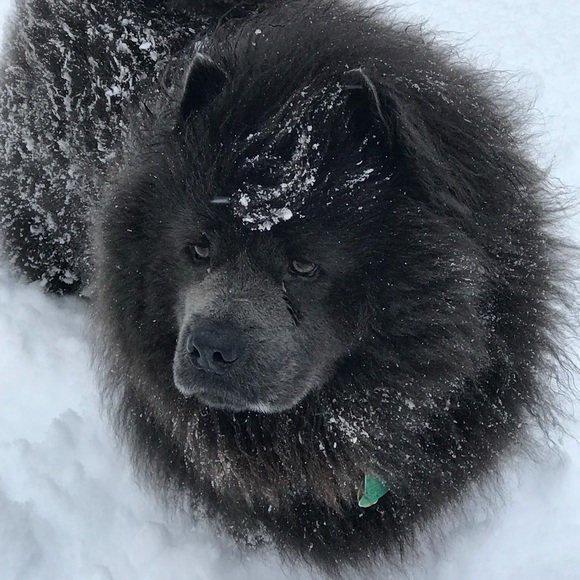 Meet your Posher, Margit - Picture 1 of 8